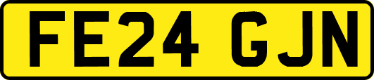 FE24GJN