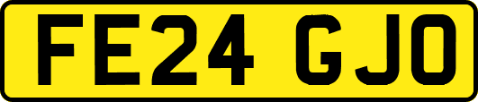 FE24GJO