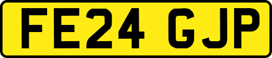 FE24GJP
