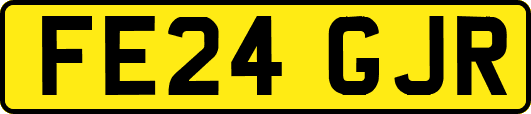 FE24GJR