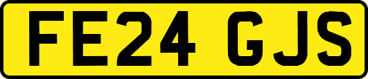 FE24GJS