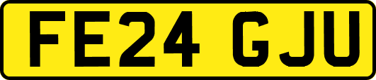 FE24GJU