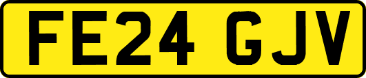 FE24GJV