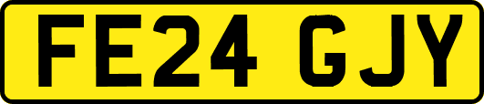 FE24GJY