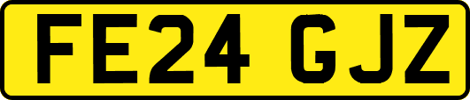 FE24GJZ