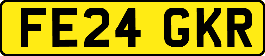 FE24GKR