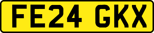 FE24GKX