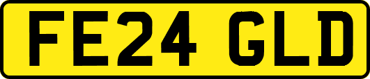 FE24GLD