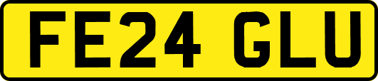 FE24GLU