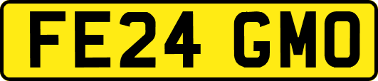 FE24GMO