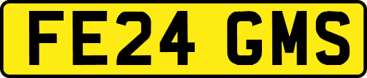 FE24GMS