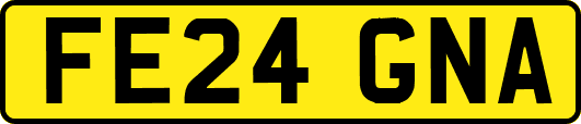 FE24GNA