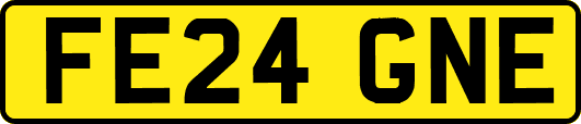 FE24GNE