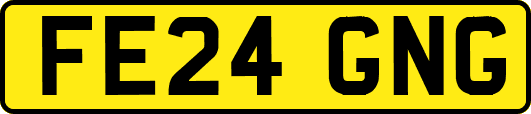 FE24GNG