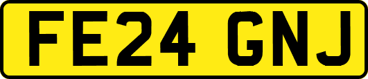 FE24GNJ