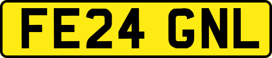 FE24GNL