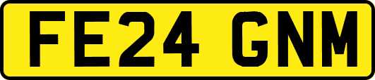 FE24GNM