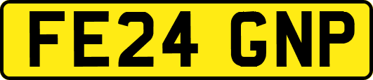 FE24GNP