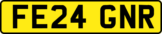 FE24GNR