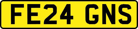FE24GNS