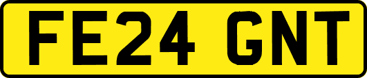 FE24GNT