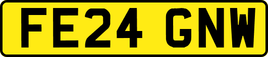FE24GNW