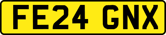 FE24GNX
