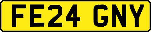 FE24GNY