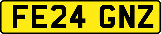 FE24GNZ