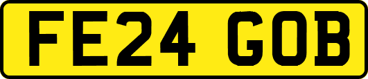 FE24GOB