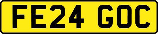 FE24GOC