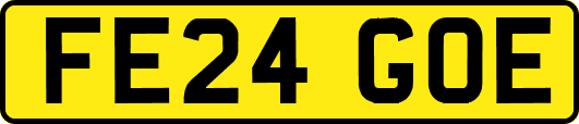 FE24GOE