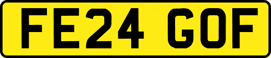 FE24GOF