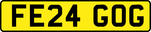 FE24GOG