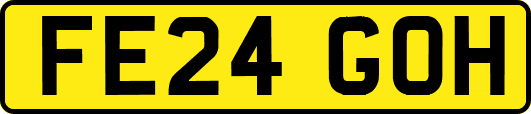 FE24GOH