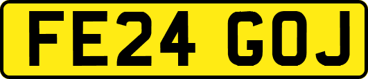 FE24GOJ