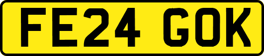 FE24GOK