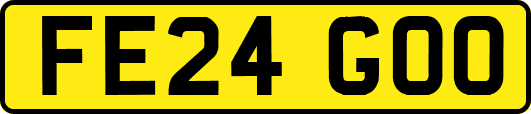 FE24GOO