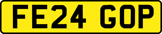 FE24GOP