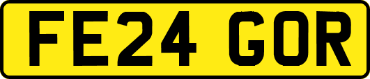 FE24GOR