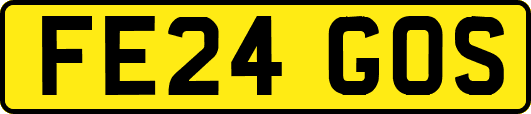 FE24GOS
