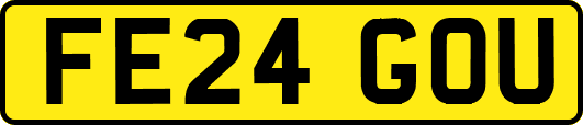 FE24GOU