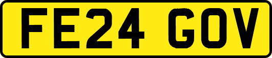 FE24GOV