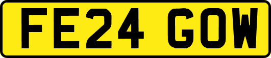 FE24GOW