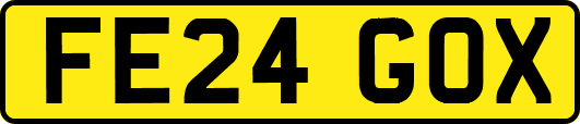FE24GOX