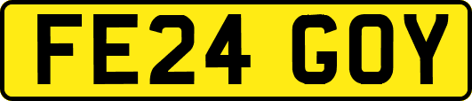 FE24GOY