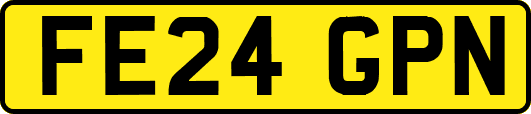 FE24GPN