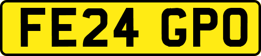 FE24GPO