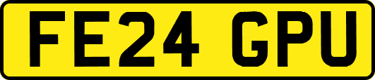 FE24GPU