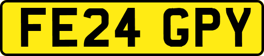 FE24GPY